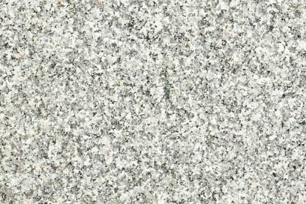 庭院花壇植物搭配（院子花壇種什么綠植好）